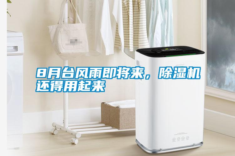 8月臺(tái)風(fēng)雨即將來(lái),除濕機(jī)還得用起來(lái)