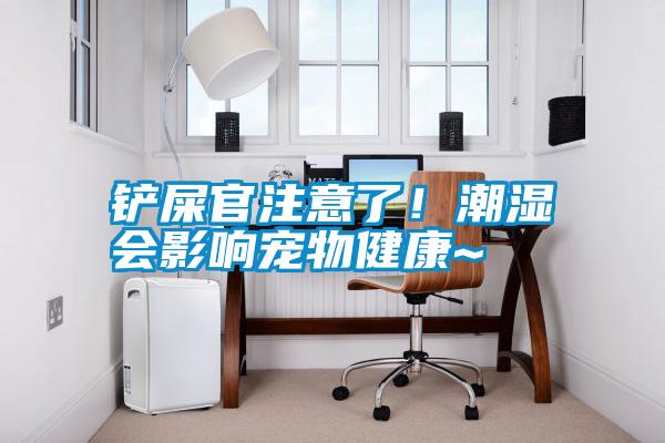 鏟屎官注意了!潮濕會(huì)影響寵物健康~