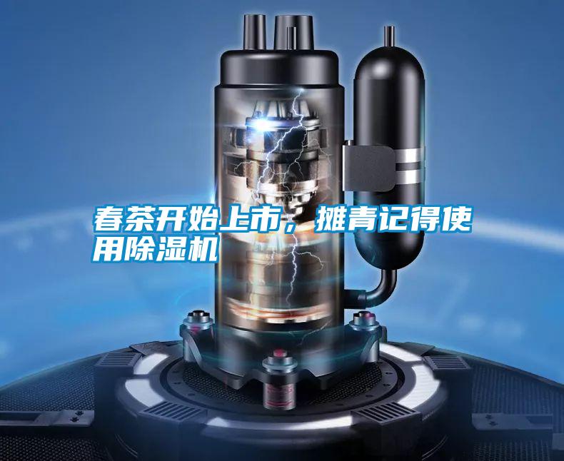 春茶開始上市，攤青記得使用除濕機