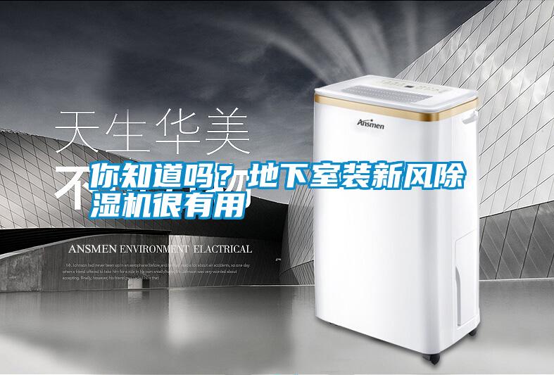 你知道嗎？地下室裝新風除濕機很有用