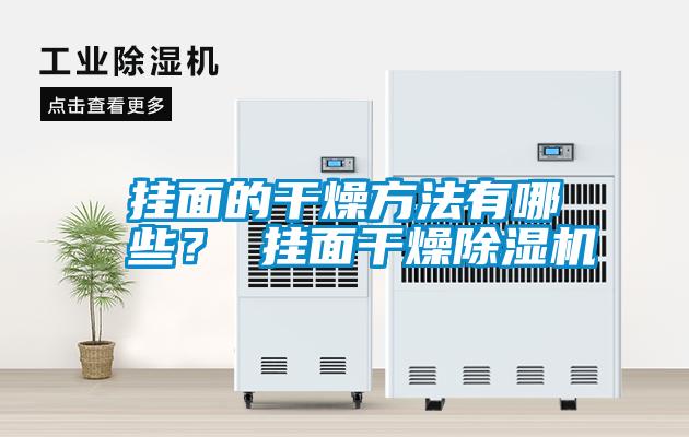 掛面的干燥方法有哪些? 掛面干燥除濕機