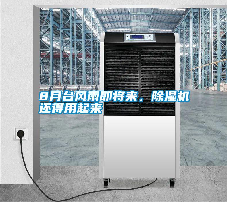 8月臺風雨即將來，除濕機還得用起來