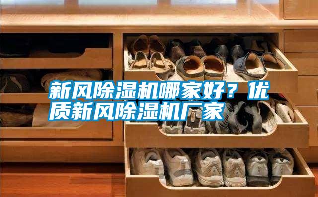 新風除濕機哪家好？優質新風除濕機廠家