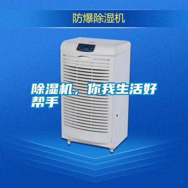 除濕機，你我生活好幫手
