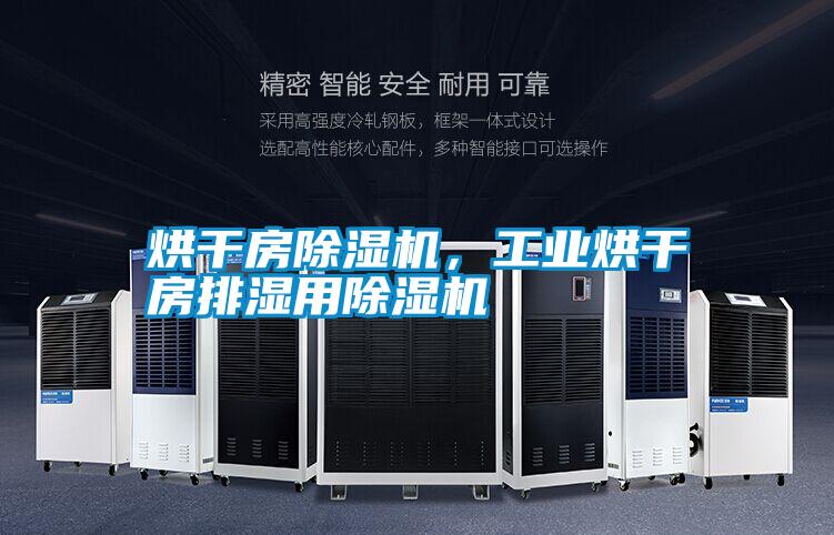 烘干房除濕機(jī),工業(yè)烘干房排濕用除濕機(jī)