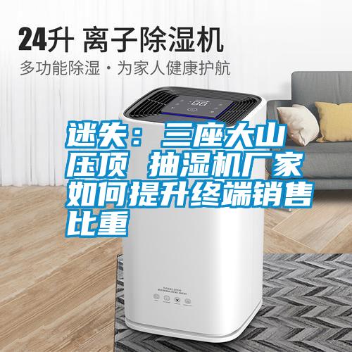 迷失:三座大山壓頂 抽濕機廠家如何提升終端銷售比重