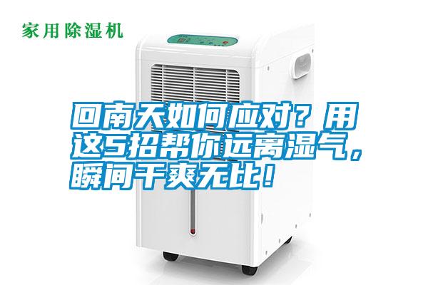 回南天如何應(yīng)對？用這5招幫你遠(yuǎn)離濕氣，瞬間干爽無比！