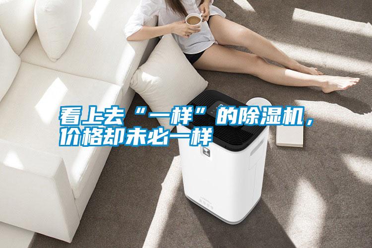 看上去“一樣”的除濕機，價格卻未必一樣