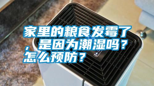 家里的糧食發霉了,是因為潮濕嗎?怎么預防?