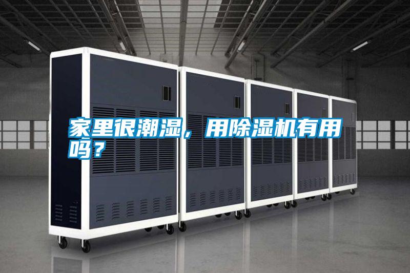 家里很潮濕，用除濕機有用嗎？