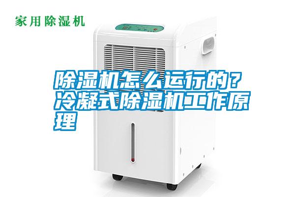 除濕機怎么運行的？冷凝式除濕機工作原理