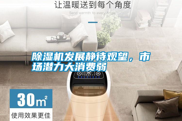 除濕機發展靜待觀望,市場潛力大消費弱