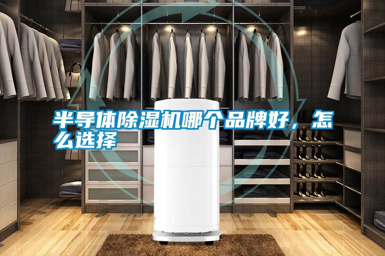 半導(dǎo)體除濕機哪個品牌好,怎么選擇