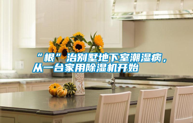 “根”治別墅地下室潮濕病,從一臺家用除濕機開始
