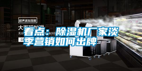 看點:除濕機廠家淡季營銷如何出牌
