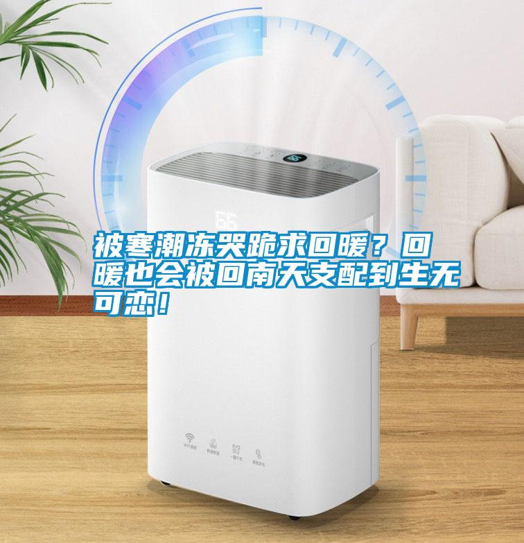 被寒潮凍哭跪求回暖？回暖也會(huì)被回南天支配到生無(wú)可戀！
