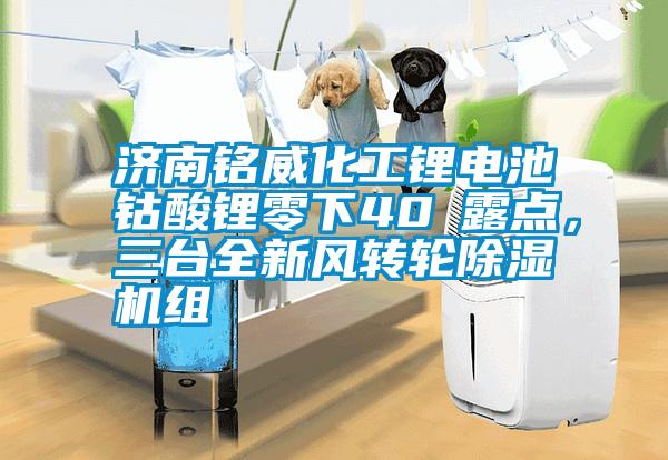 濟南銘威化工鋰電池鈷酸鋰零下40℃露點，三臺全新風轉輪除濕機組