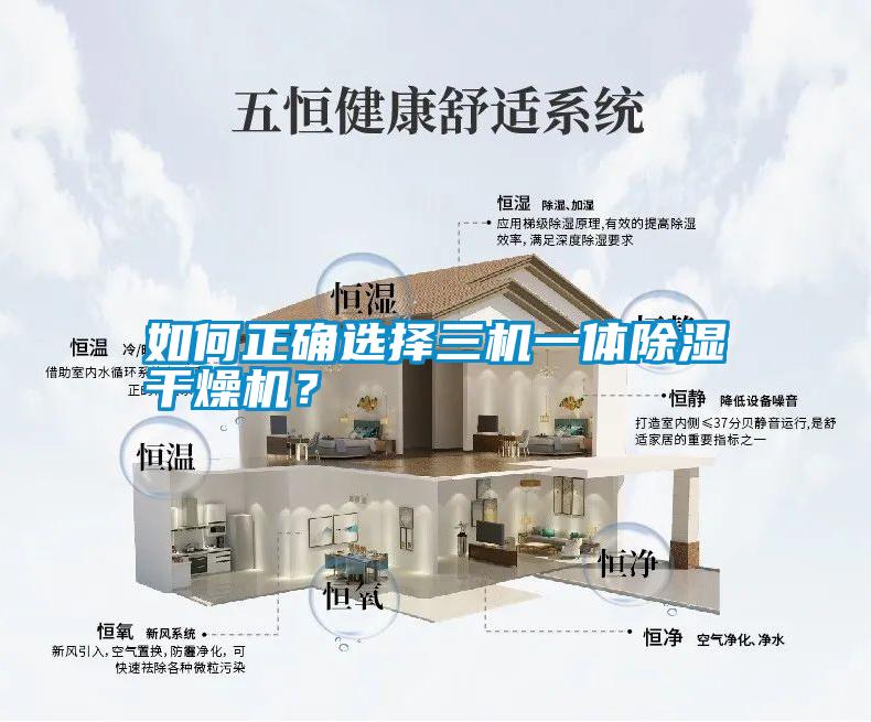 如何正確選擇三機一體除濕干燥機?