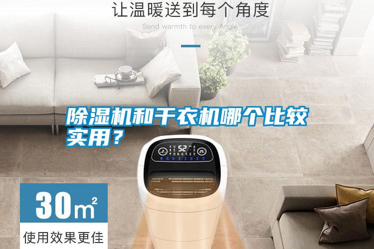 除濕機和干衣機哪個比較實用？