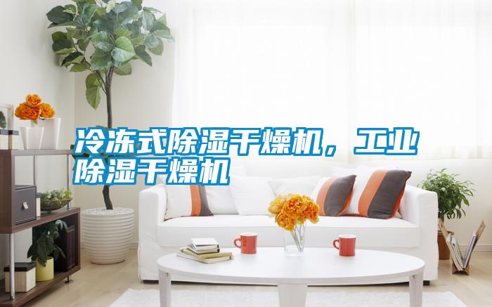 冷凍式除濕干燥機，工業除濕干燥機