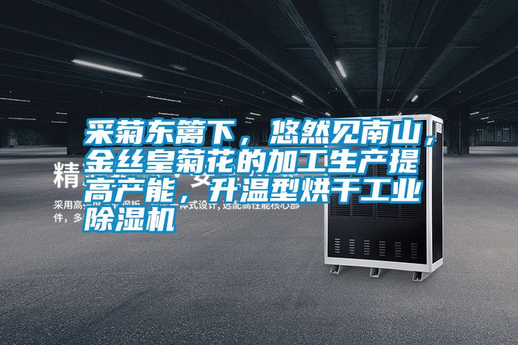 采菊東籬下，悠然見南山，金絲皇菊花的加工生產(chǎn)提高產(chǎn)能，升溫型烘干工業(yè)除濕機