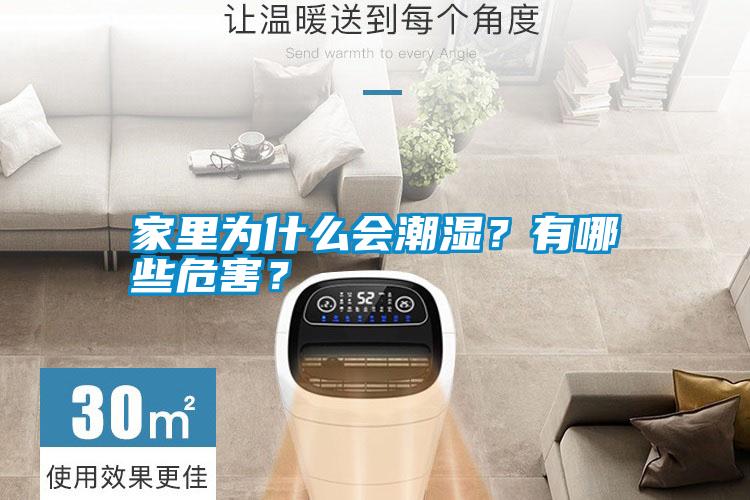 家里為什么會潮濕?有哪些危害?
