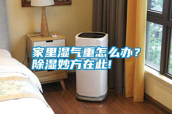 家里濕氣重怎么辦？除濕妙方在此!