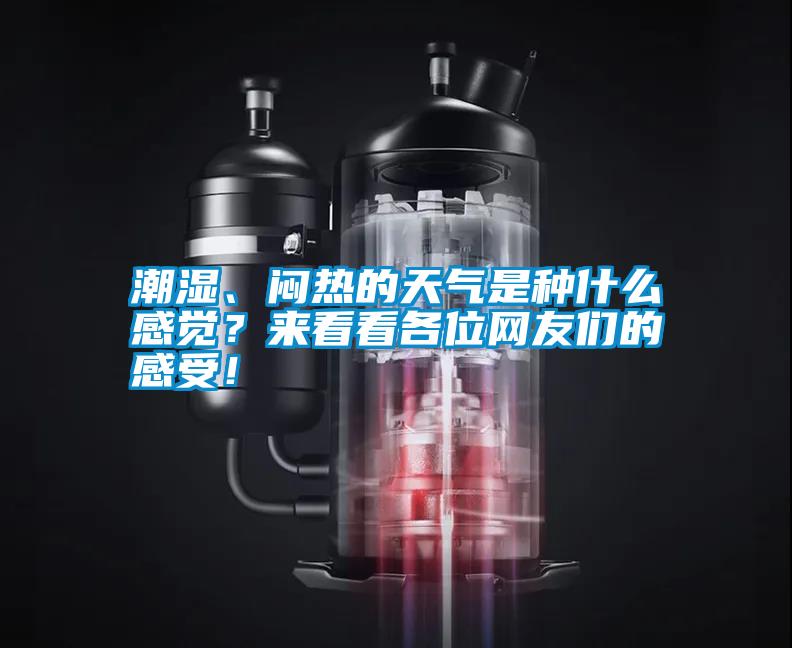 潮濕、悶熱的天氣是種什么感覺?來看看各位網(wǎng)友們的感受!