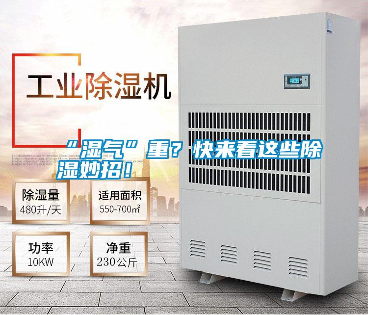 “濕氣”重?快來看這些除濕妙招!