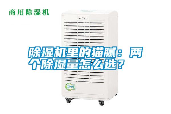 除濕機(jī)里的貓膩：兩個除濕量怎么選？