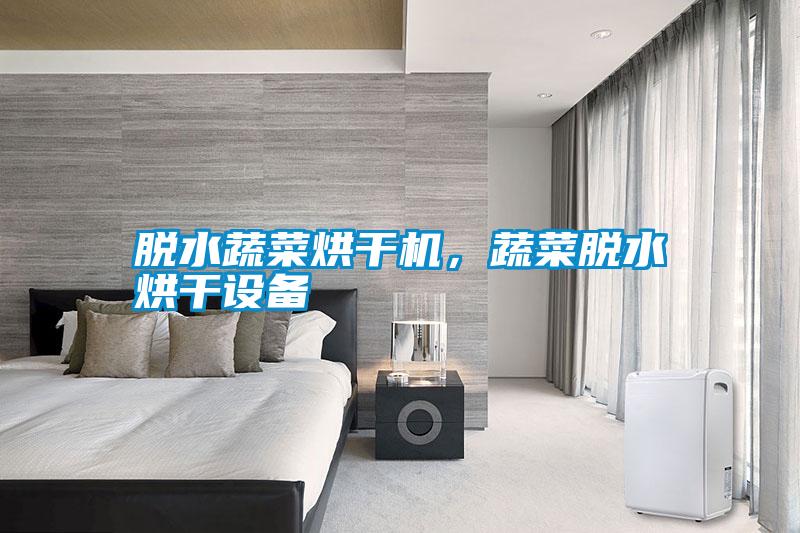 脫水蔬菜烘干機，蔬菜脫水烘干設備