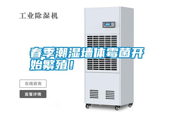 春季潮濕墻體霉菌開始繁殖!