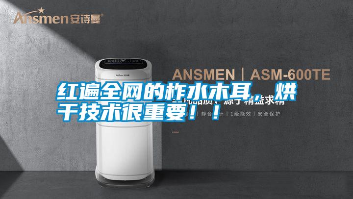 紅遍全網(wǎng)的柞水木耳，烘干技術很重要??！