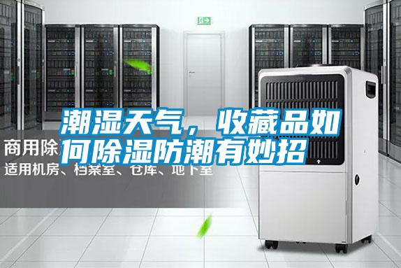 潮濕天氣，收藏品如何除濕防潮有妙招