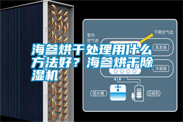 海參烘干處理用什么方法好？海參烘干除濕機