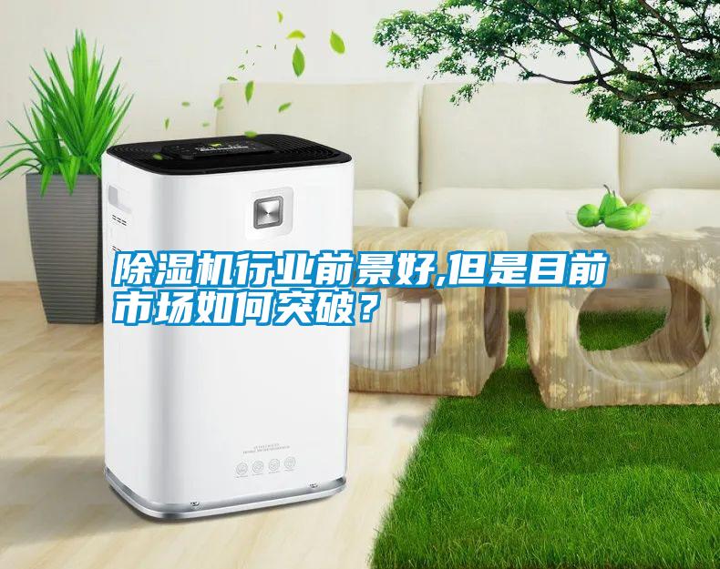 除濕機(jī)行業(yè)前景好,但是目前市場(chǎng)如何突破？