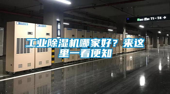 工業(yè)除濕機(jī)哪家好?來這里一看便知