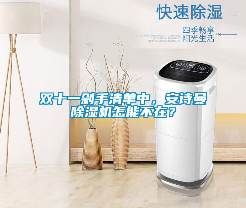 雙十一剁手清單中，安詩曼除濕機(jī)怎能不在？