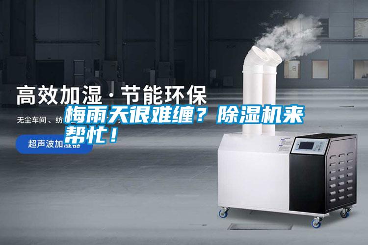 梅雨天很難纏？除濕機(jī)來幫忙！