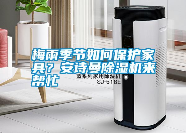 梅雨季節(jié)如何保護(hù)家具?安詩曼除濕機(jī)來幫忙