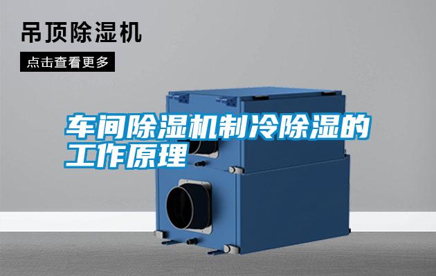 車(chē)間除濕機(jī)制冷除濕的工作原理