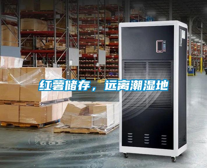 紅薯儲(chǔ)存，遠(yuǎn)離潮濕地