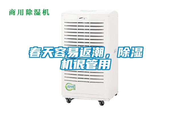 春天容易返潮，除濕機很管用