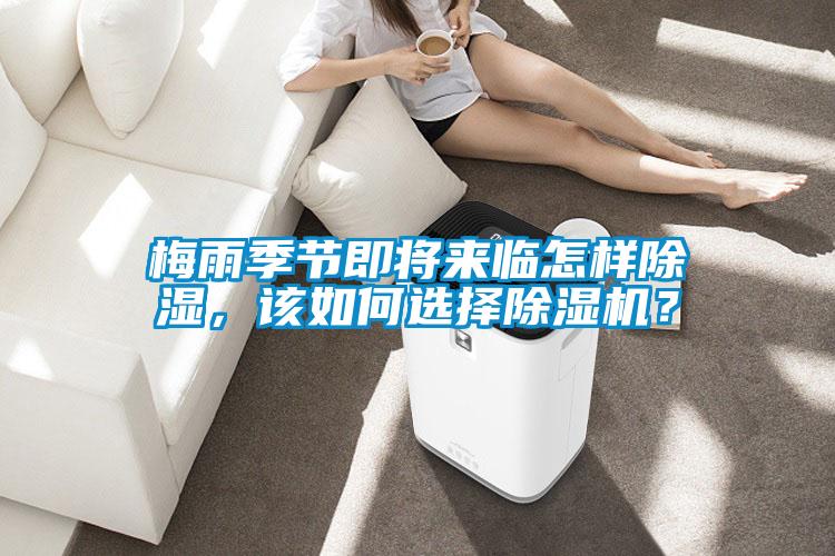 梅雨季節(jié)即將來臨怎樣除濕,該如何選擇除濕機(jī)?