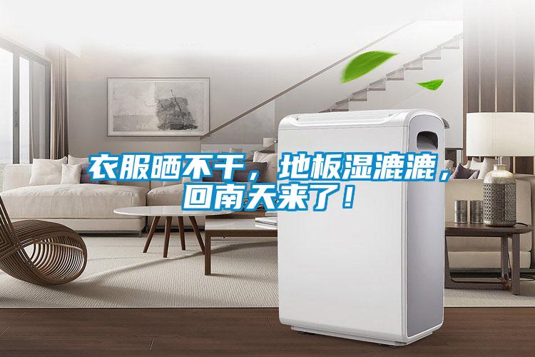 衣服曬不干，地板濕漉漉，回南天來了！