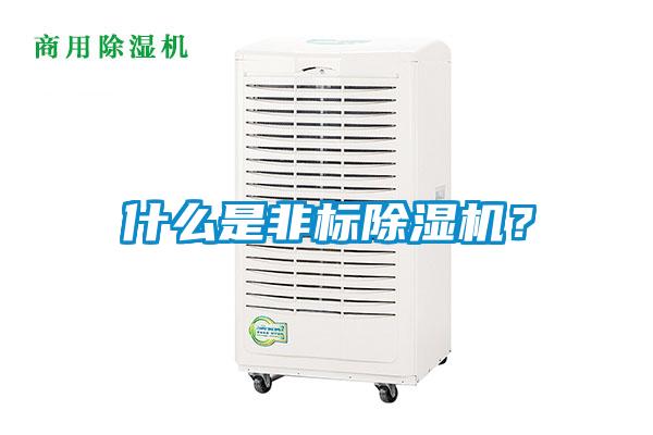 什么是非標(biāo)除濕機?