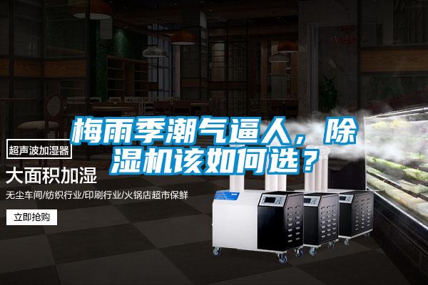 梅雨季潮氣逼人，除濕機(jī)該如何選？