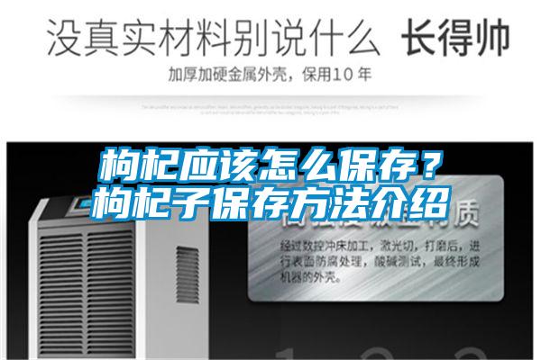 枸杞應該怎么保存?枸杞子保存方法介紹