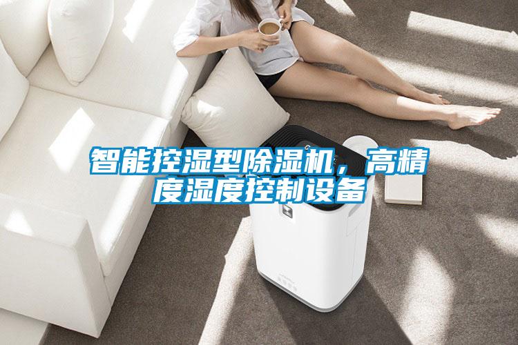 智能控濕型除濕機，高精度濕度控制設(shè)備
