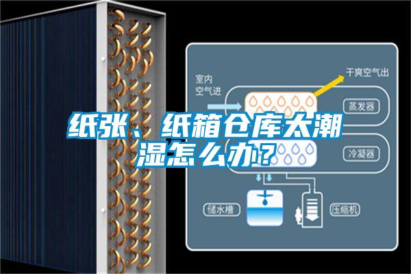 紙張、紙箱倉庫太潮濕怎么辦？